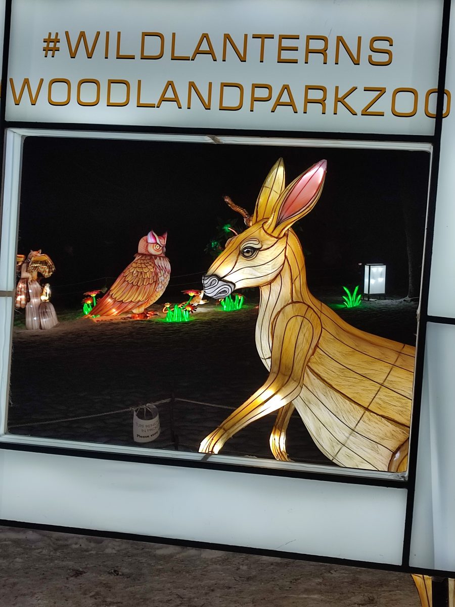 Woodland park zoo à Seattle illumination hiver 2021 de