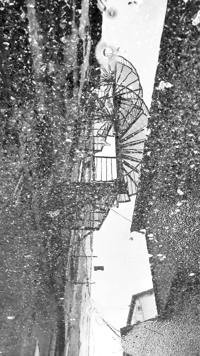 Marathon Forum 2026 1ère place - Marie Pierre JOACHY